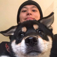 儒雅随和文明人