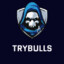 TryBulls