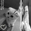 mr_dimach