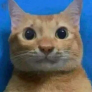 outlaw - steam id 76561198018496029