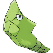 Metapod