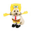 webster