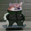 Slav Doge™