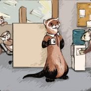 A Business of Ferrets