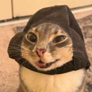 delemoro avatar