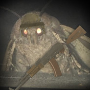 МОЛЬ В БЕРЦАХ