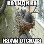 рефрексирую