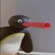 NOOT NOOT