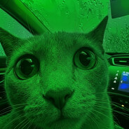 anılDLL Steam avatar