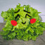Lechuga san