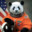 noflexpanda