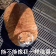 白给的橘猫