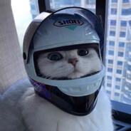 马枪你骂枪啊骂我干嘛