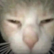 almatik_'s avatar