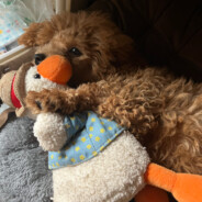 small喵的男社畜