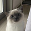 darya.lks