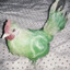 Fuck Whatsapp Bird