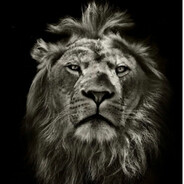 🦁012