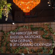 💋Light Foxy⋆˚🐾˖°