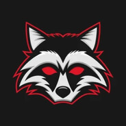 ⊹𝙍𝙖𝙘𝙘𝙤𝙤𝙣