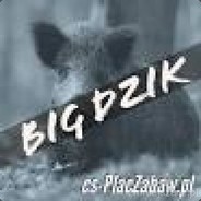 BigDzik