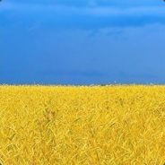 Хорошего настроения и здоровья!