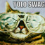 LordofBobz #YOLOSWAG