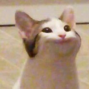 不爱洗澡的臭猫