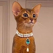 老公開門，我是S