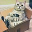 CatInABox