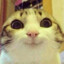 ♥ Arya