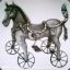 Equus_pedalis