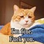 超级无敌的猫猫