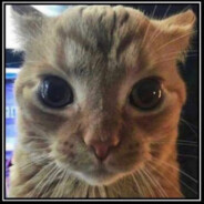 Rarášek ¯\(ツ)/¯