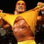 Hulkster