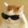 sylvester
