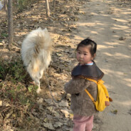 枪在手，跟我走