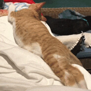 我不信你不惭愧