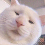 我又是谁的青春呢