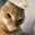meowman