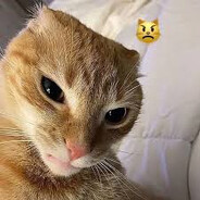 meowman