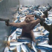 雨中寥落月中愁