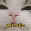 Lolzkat