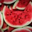 the watermeloner