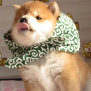 福建人想尝尝广东人