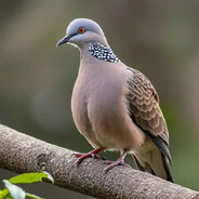 古顾咕😭古顾咕😭古顾