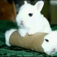 saffffffffgdfjyttttthvbvxcdfasss