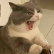 Appelflapje - steam id 76561198263029194
