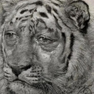 路過的人便要掂熱狗吔