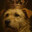 King Charles